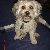 Denise Donze's photo