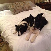 Augusta Cash's photo