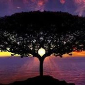 Darlene Jamieson's photo