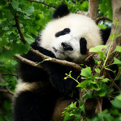 Tania Awais's photo