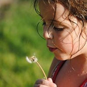 Foto di Brandy Senn