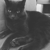 kate Gendron's photo