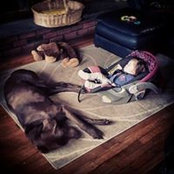 Nicole Ball's photo