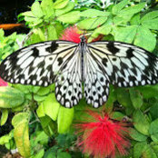 Joan Bryan's photo