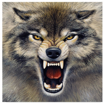 Harro Maass 'Wolf Roaring' Canvas Art, 14"x14"