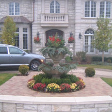 Backyard Plant Ideas