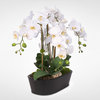 Real Touch White Phalaenopsis Orchids With Oval Metal Planter