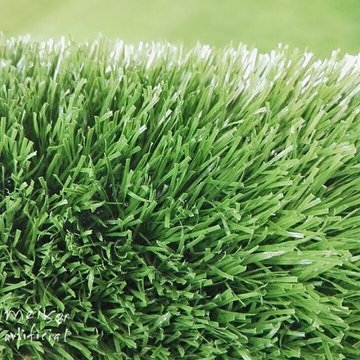 football soccer grass