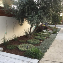 Front Exterior Ideas