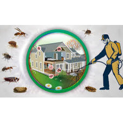 Pest Control Melbourne - Products