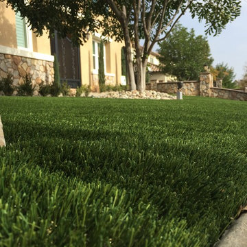 Eco Olive 80 in Corona, CA