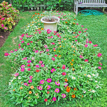 Cutting Garden