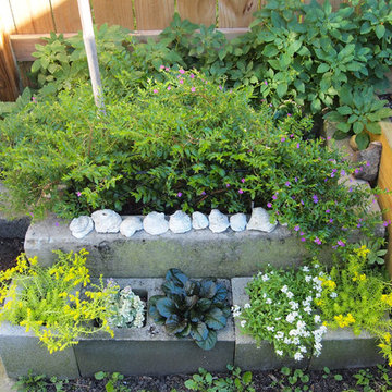 My Houzz: Nature-Inspired Home for Work and Play in New Orleans