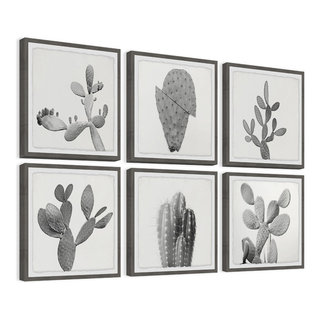 Cactus Variety II Hexaptych - Southwestern - Prints And Posters - by Marmont  Hill