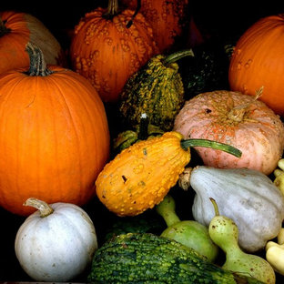 Aménagement d'un jardin classique l'automne.
