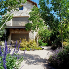Garden ideas