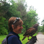 Lee Schneider's photo