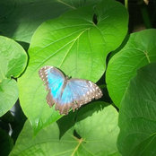 Lena Ann's photo