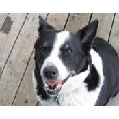Michael Kassmier's photo