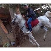 Magdi Karas's photo