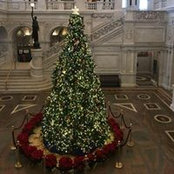 Desyre Eichelberger's photo