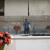 Thomas Lesachey's photo