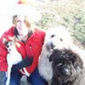 Heidi Miller's photo
