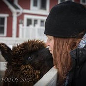Jean Gaudet's photo