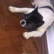 Jennifer Brule's photo