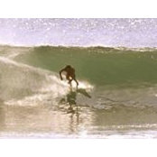 Yancy Knapps foto
