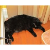 Gilda Deniro's photo