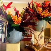 Suzanne Snyder's photo