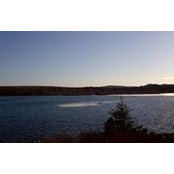 JB DelRizzo's photo