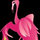flamingotileco