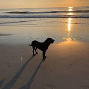 Marie Perry's photo