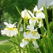 Patrice Padilla's photo