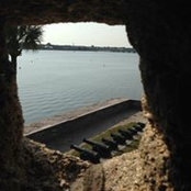 Foto von Joe Arnold