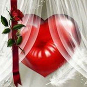 Kim Newbill's photo