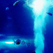 Jake Formby's photo