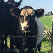 Heather Jansevska's photo