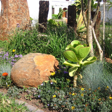 Small Water Wise Townhouse Garden