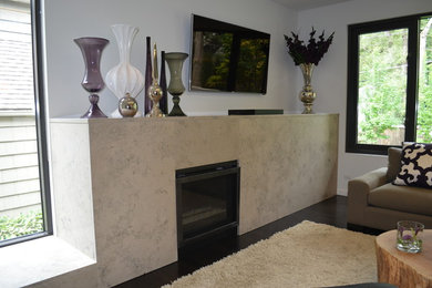 Trendy living room photo in Kansas City