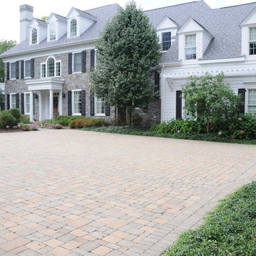 Charming Garden