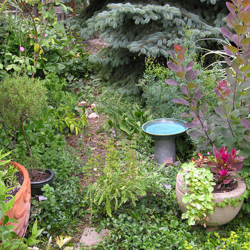 All seasons garden | Artistry Landscaping Design