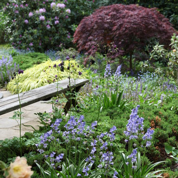 Woodland Garden
