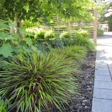 Hillsboro Front Garden