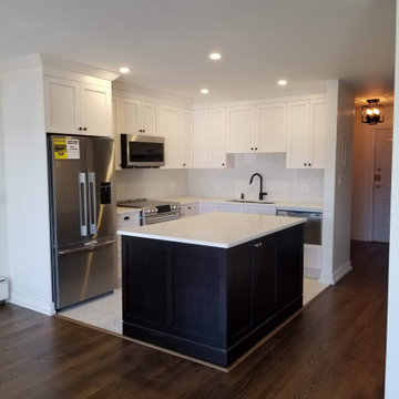 Kitsilano Condo Kitchen