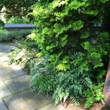Stamford Shade Garden & Pool
