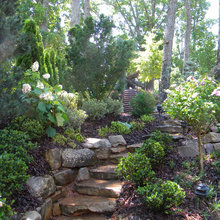Jardín trasero