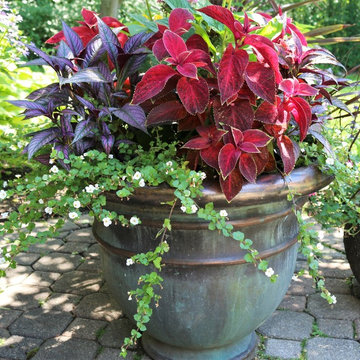 Seasonal Display